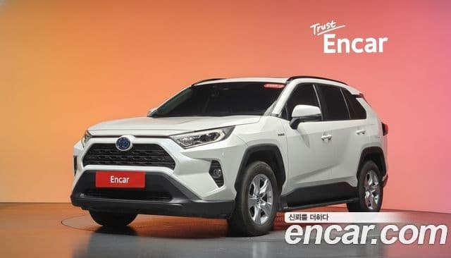 Toyota RAV4 2019 — Фото 1/20