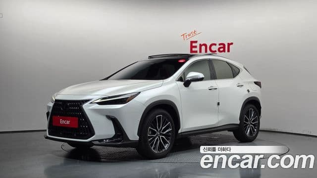 Lexus NX350h 2024 — ფოტო 8/34