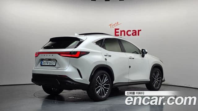Lexus NX350h 2024 — ფოტო 25/34