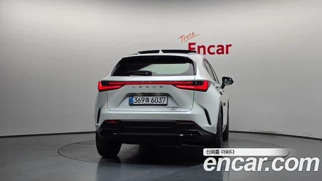Lexus NX350h 2024 — ფოტო 20/34
