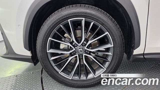 Lexus NX350h 2024 — ფოტო 3/34