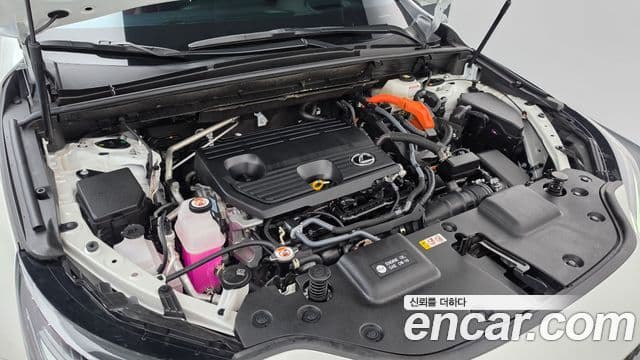 Lexus NX350h 2024 — ფოტო 19/34