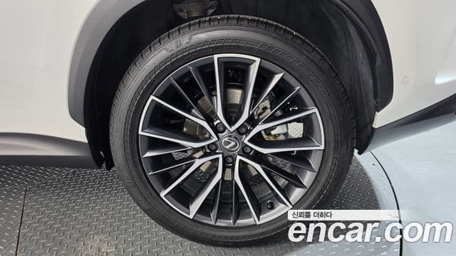 Lexus NX350h 2024 — ფოტო 16/34