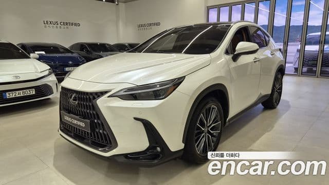 Lexus NX350h 2025 — Photo 2/20