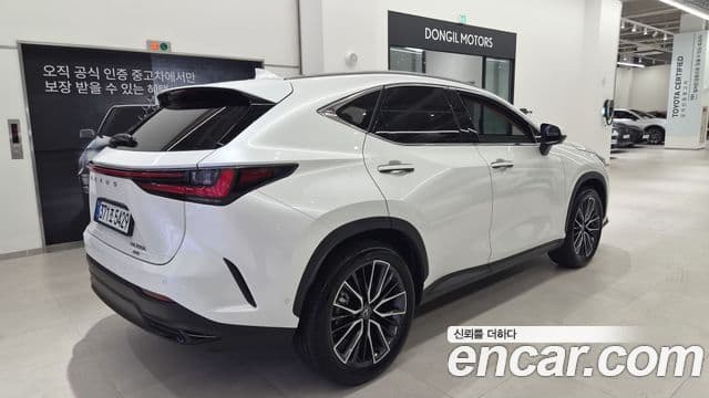 Lexus NX350h 2025 — Photo 8/20
