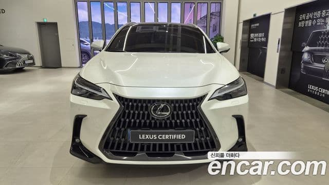 Lexus NX350h 2025 — Photo 17/20