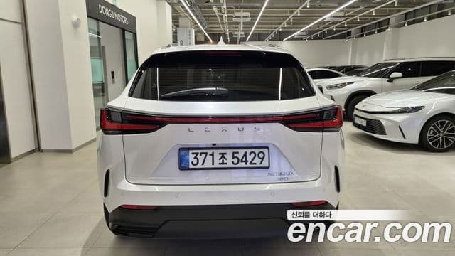 Lexus NX350h 2025 — Photo 14/20