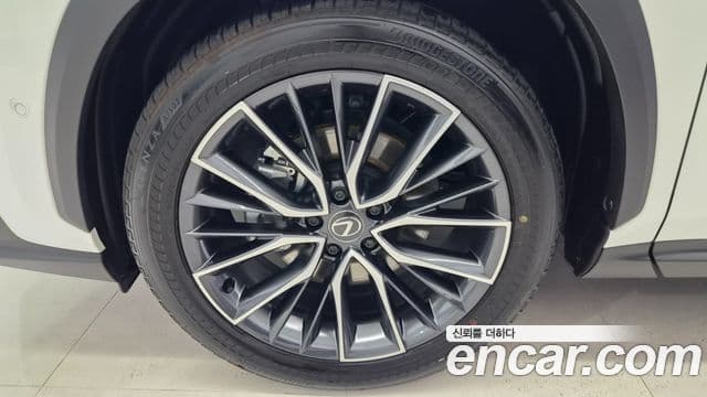 Lexus NX350h 2025 — Photo 19/20