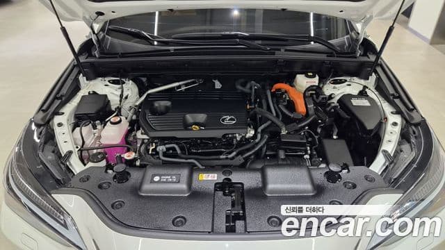 Lexus NX350h 2025 — Photo 20/20
