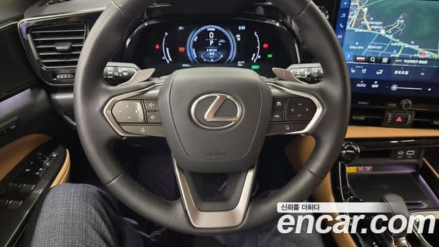 Lexus NX350h 2025 — Photo 11/20