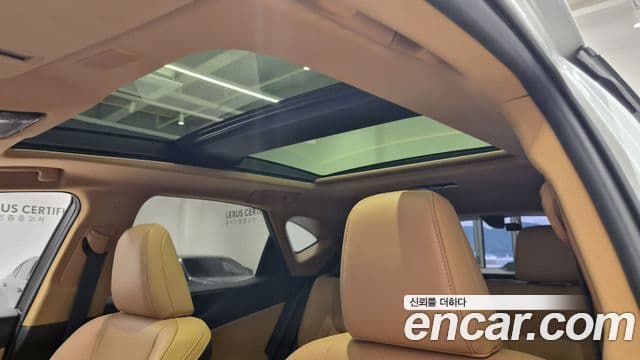 Lexus NX350h 2025 — Photo 15/20