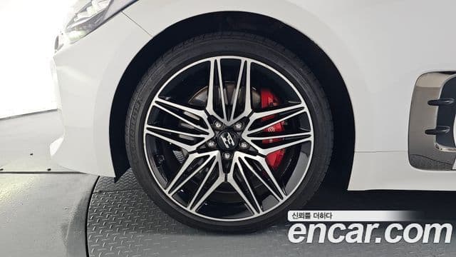 Kia Stinger 2020 — Фото 5/20