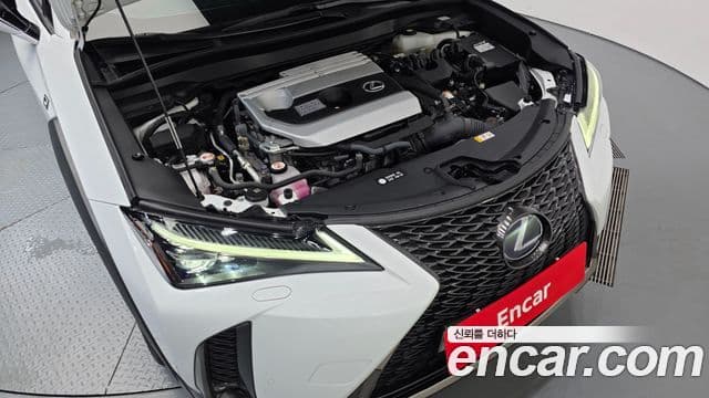 Lexus UX250h 2020 — Фото 6/20