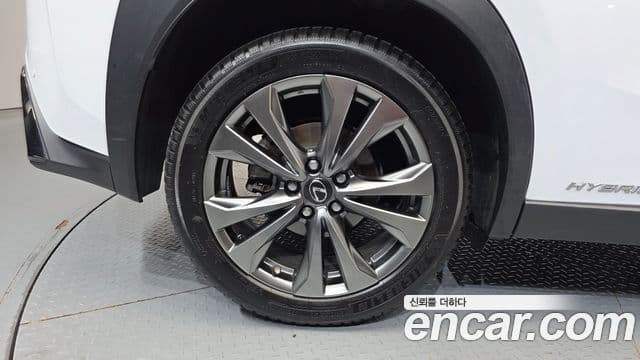 Lexus UX250h 2020 — Şəkil 11/32