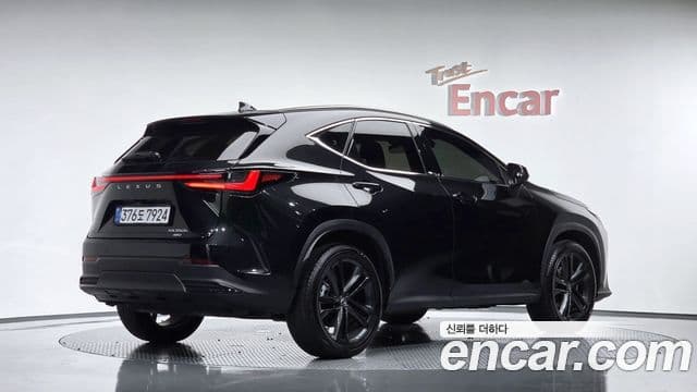 Lexus NX350h 2025 — ფოტო 14/34