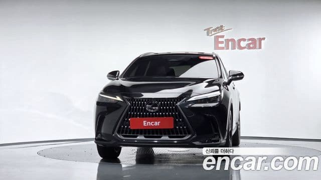 Lexus NX350h 2025 — ფოტო 3/34