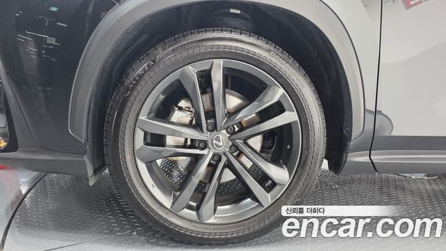 Lexus NX350h 2025 — ფოტო 15/34