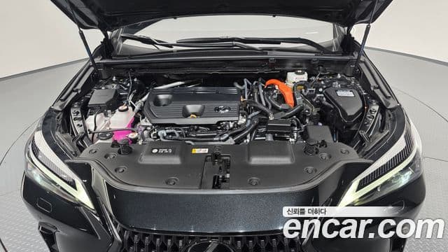 Lexus NX350h 2025 — ფოტო 32/34