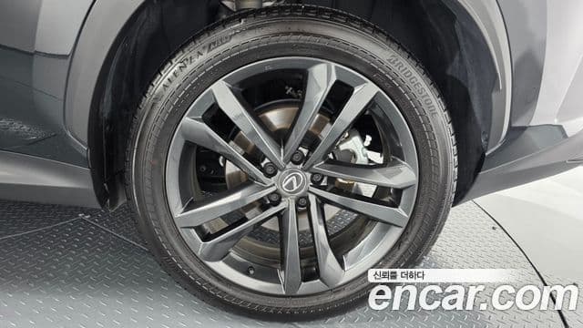 Lexus NX350h 2025 — ფოტო 18/34