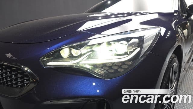 Kia Stinger Meister 2020 — ფოტო 32/36