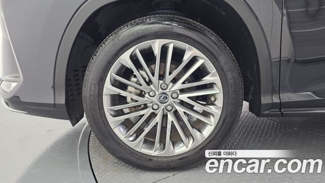 Lexus RX450h 2022 — ფოტო 9/20