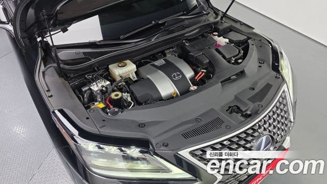 Lexus RX450h 2022 — ფოტო 20/20
