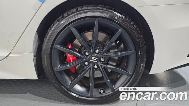 Kia Stinger Meister 2020 — ფოტო 20/40