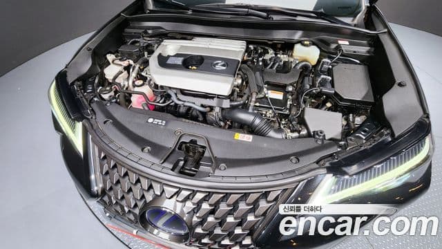 Lexus UX250h 2021 — ფოტო 6/20