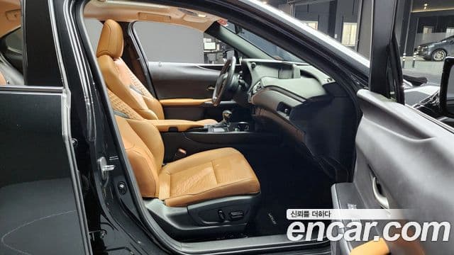 Lexus UX250h 2021 — ფოტო 10/20