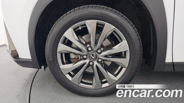 Lexus UX250h 2022 — Photo 8/20