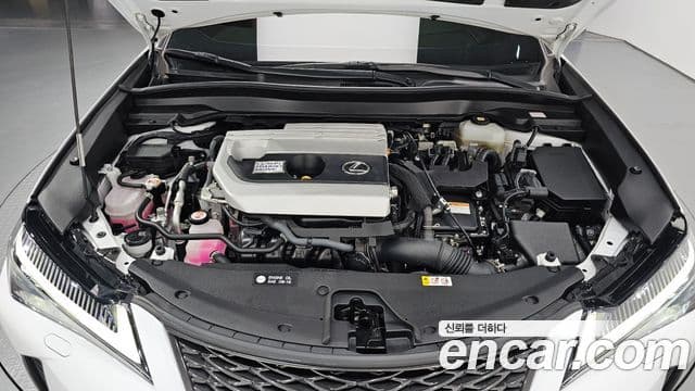 Lexus UX250h 2022 — Photo 11/20