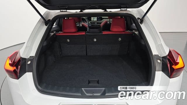 Lexus UX250h 2022 — Photo 12/20