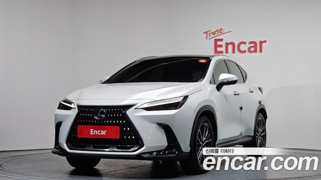 Lexus NX350h 2023 — Şəkil 9/20