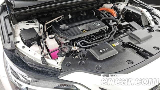 Lexus NX350h 2023 — Şəkil 5/20