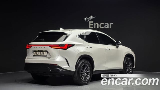 Lexus NX450h+ 2024 — Şəkil 2/20