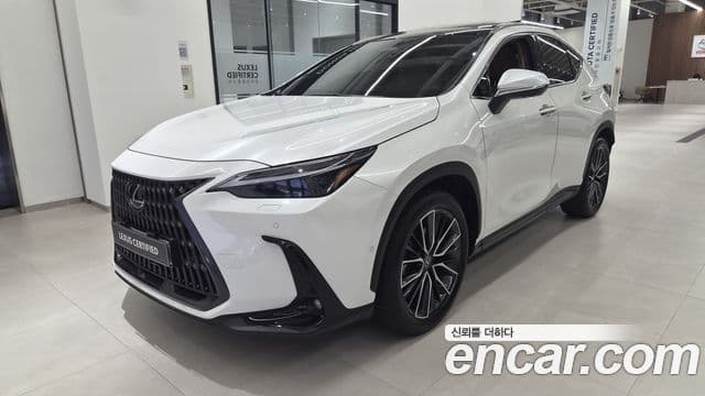 Lexus NX350h 2023 — ფოტო 9/20