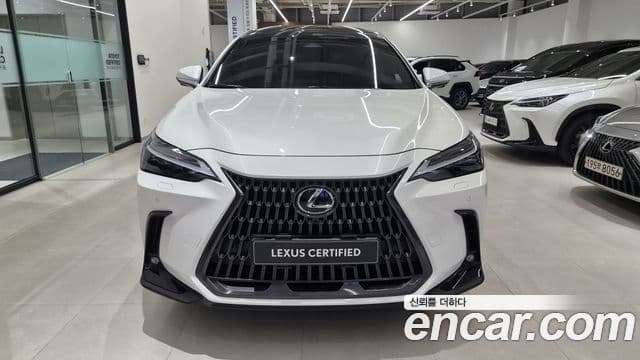 Lexus NX350h 2023 — ფოტო 2/20