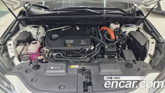 Lexus NX350h 2023 — ფოტო 5/20