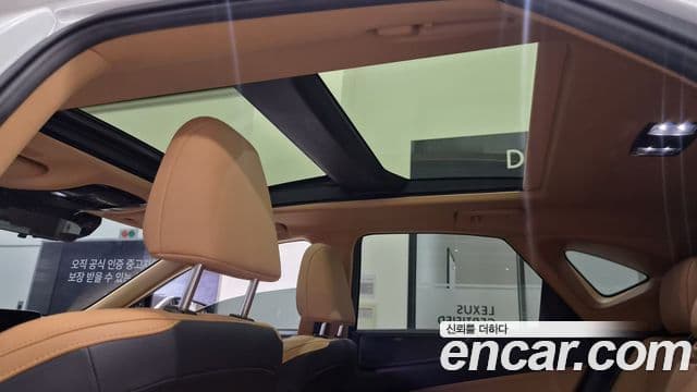 Lexus NX350h 2023 — ფოტო 19/20