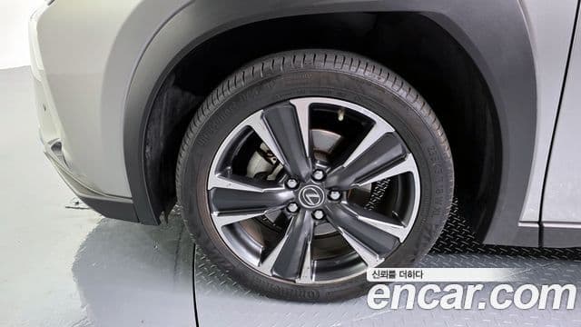 Lexus UX250h 2021 — ფოტო 5/20