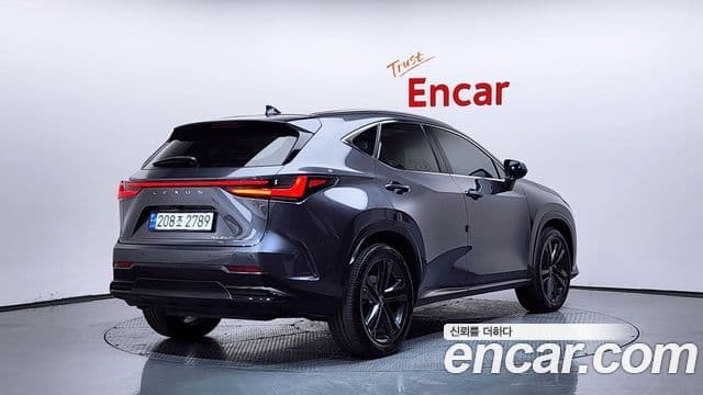 Lexus NX350h 2023 — Şəkil 2/20