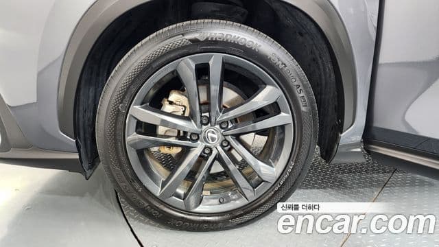 Lexus NX350h 2023 — Şəkil 5/20