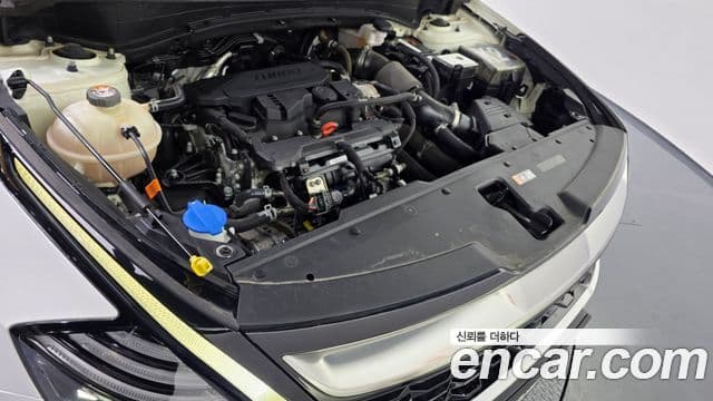 Kia Sportage 2022 — ფოტო 6/20