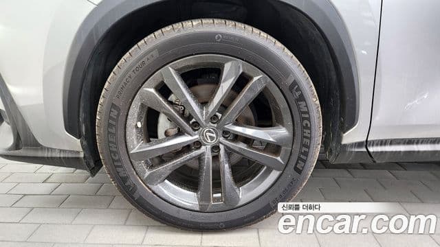Lexus NX350h 2023 — ფოტო 4/20