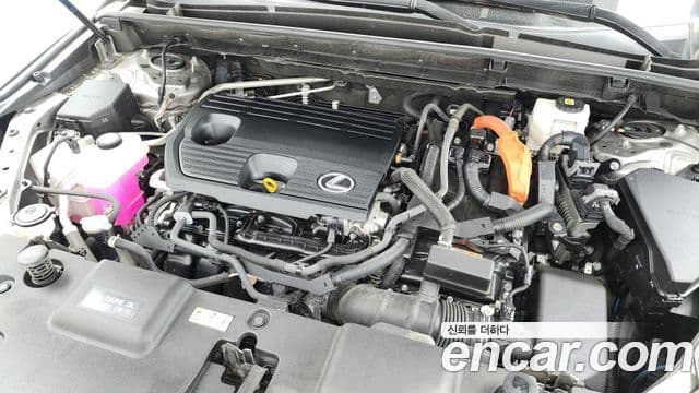 Lexus NX350h 2023 — ფოტო 5/20