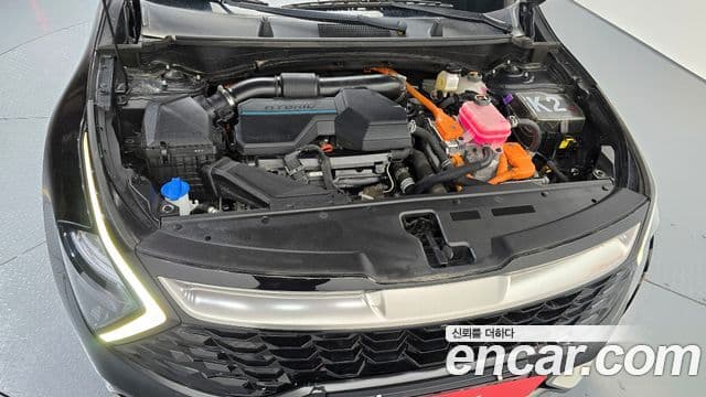 Kia Sportage 2022 — Şəkil 6/20