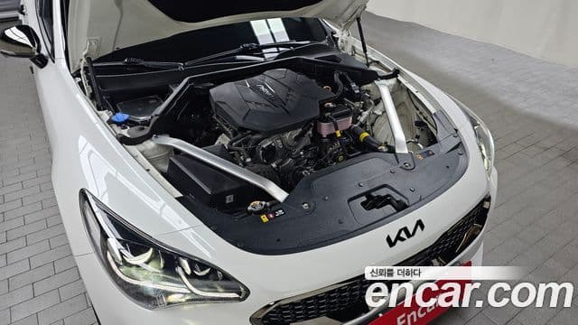 Kia Stinger 2022 — ფოტო 6/20