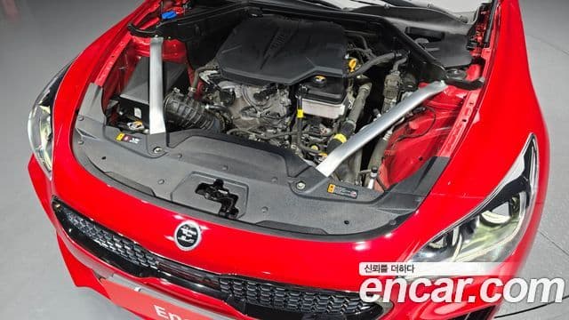 Kia Stinger 2021 — ფოტო 6/20