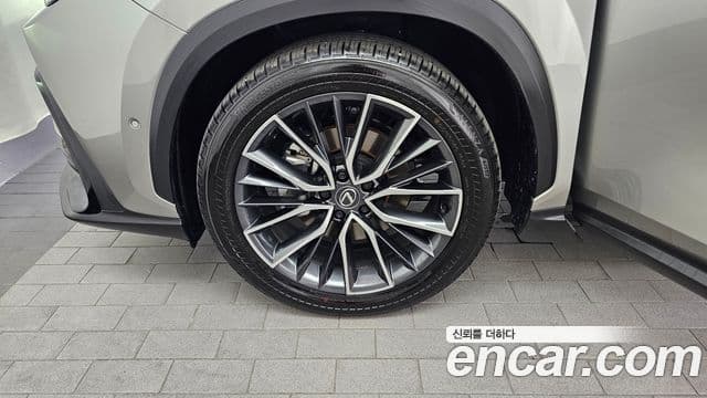 Lexus NX350h 2025 — Şəkil 5/20