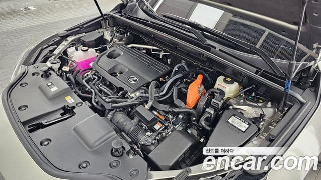 Lexus NX350h 2025 — Şəkil 6/20
